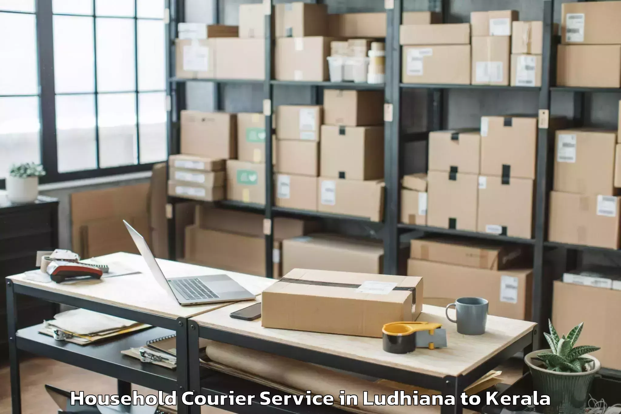 Professional Ludhiana to Adimali Household Courier